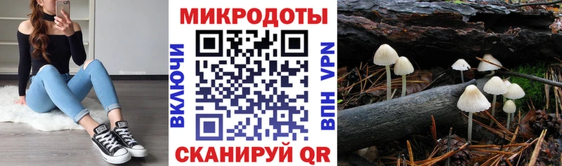 Галлюциногенные грибы мицелий  Ревда 